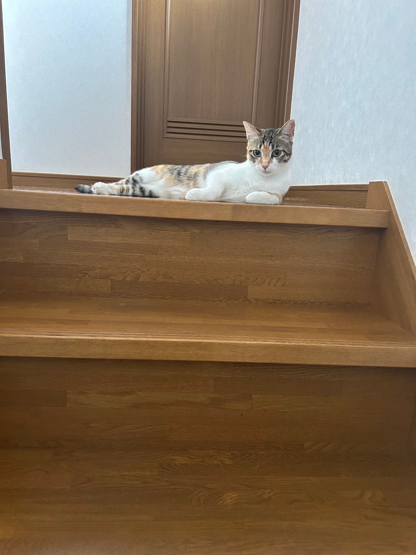 ðââ¬ã«ãããðŸ on LIPS ãããã¯å®¶ãšååããŠãªããããããé·ããããããã³ã°ã«ããâŠã..ãïŒ1æç®ïŒ