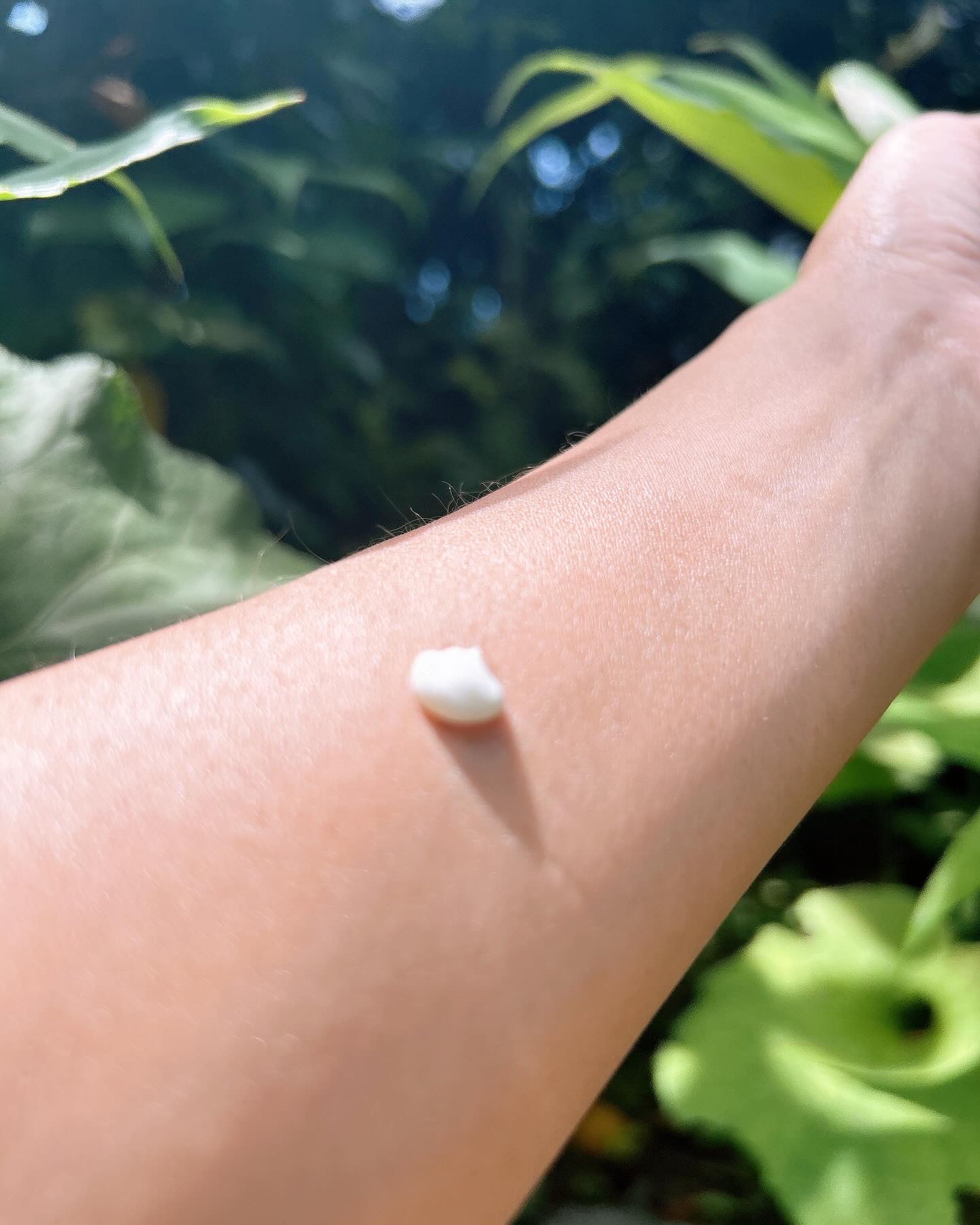 ブラックライスモイスチャーエアリーフィットデイリーサンスクリーン/haruharu wonder/日焼け止めクリームを使ったクチコミ（3枚目）