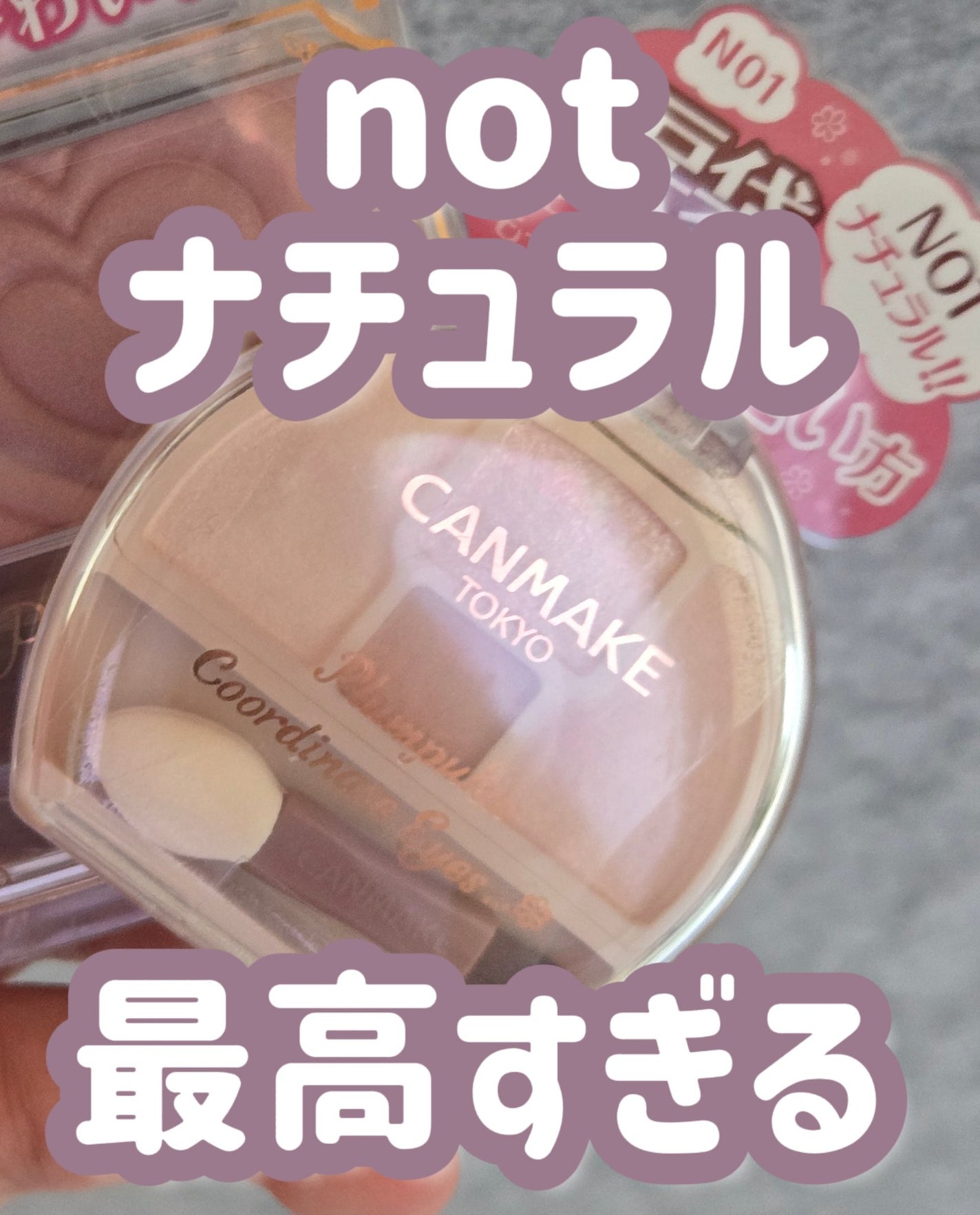 プランぷくコーデアイズNeo/キャンメイク/アイシャドウを使ったクチコミ(1枚目)