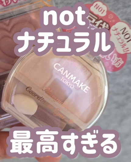 プランぷくコーデアイズNeo/キャンメイク/アイシャドウを使ったクチコミ(1枚目)