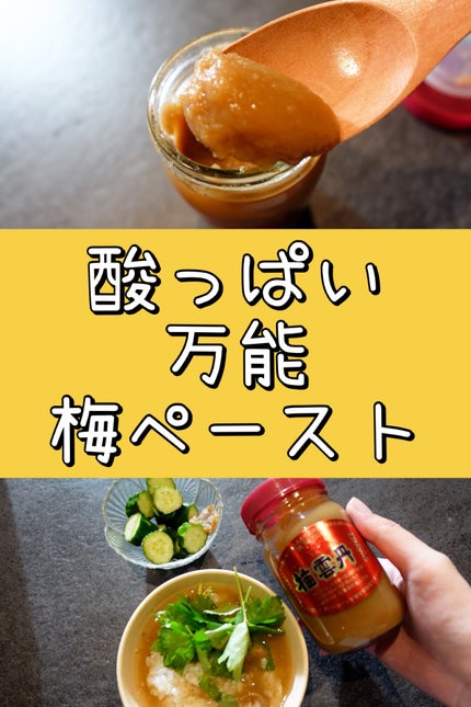 梅雲丹とろみ/薬師堂/その他食品を使ったクチコミ(1枚目)