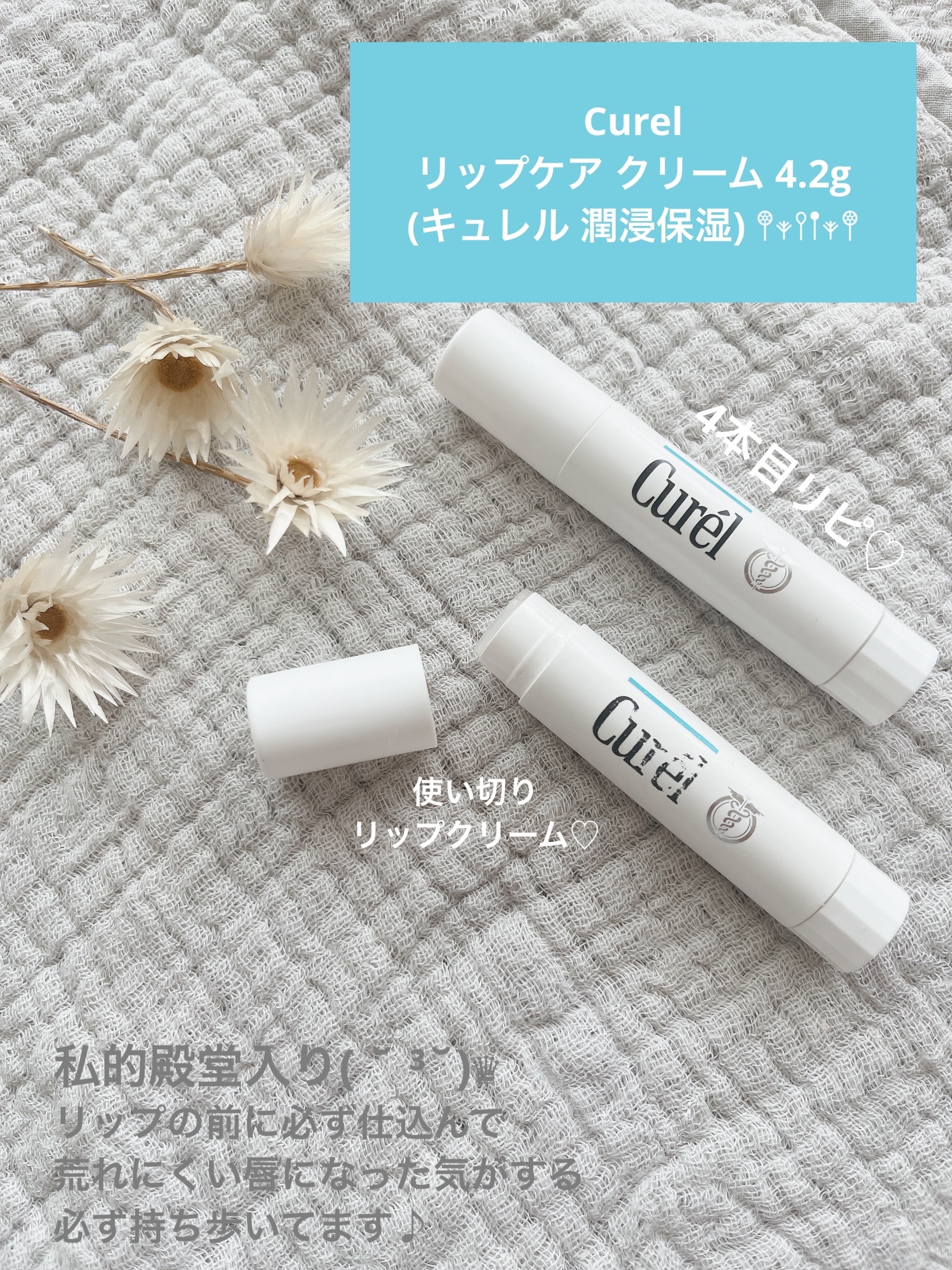 Curel🪼🫧
リップケア クリーム 4.2g 
(キュレル 潤浸保湿) 𖤣𖥧𖥣𖡡𖥧𖤣
¥935（税込）



使い切りリップクリーム𓂃◌𓈒𓐍
（MAXに繰り出してます）


. . 𖥧 𖥧 𖧧 ˒˒. . 𖡼