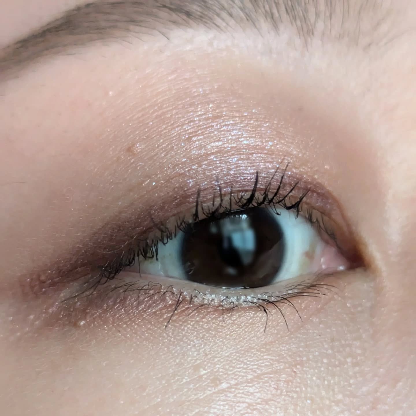 ルナソル アイカラーレーションN/LUNASOL/アイシャドウパレットを使ったクチコミ（3枚目）