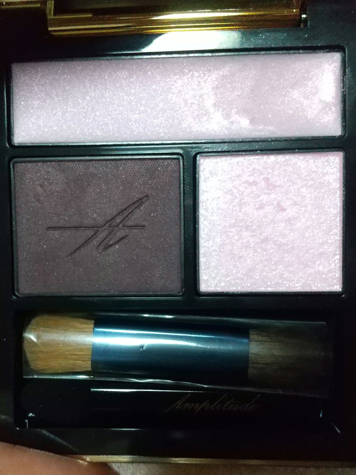 コンスピキュアス アイズ/Amplitude/アイシャドウパレットを使ったクチコミ(2枚目)