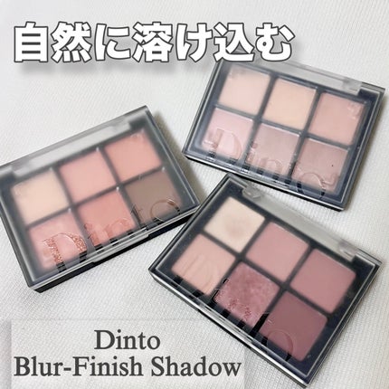 ブラーフィニシュシャドウパレット/Dinto/アイシャドウパレットを使ったクチコミ(1枚目)