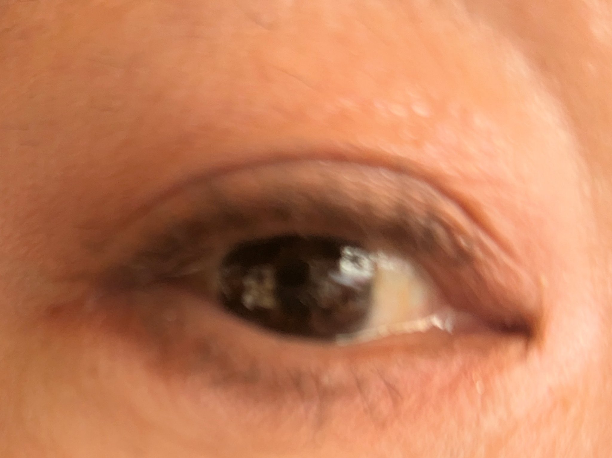 クリーミータッチライナー/キャンメイク/ジェルアイライナーを使ったクチコミ（2枚目）