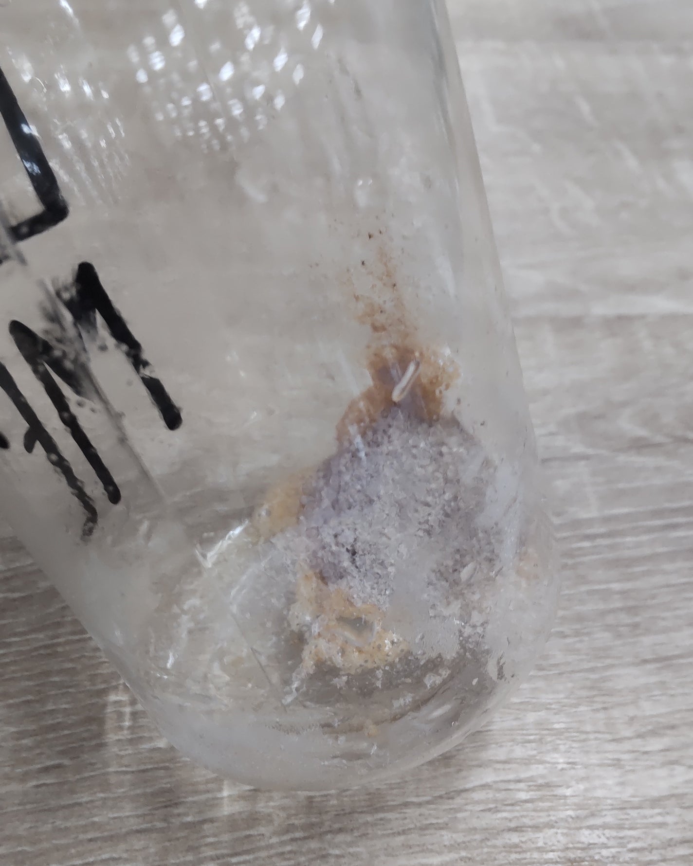 KOMBUCHA/SUNMANC/コンブチャを使ったクチコミ(3枚目)