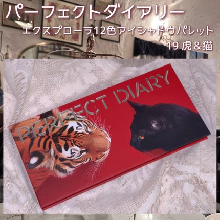 エクスプローラ12色 動物アイシャドウパレット/PERFECT DIARY/アイシャドウパレットを使ったクチコミ(9枚目)