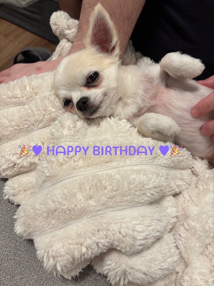 ヴェルニ/CHANEL/マニキュアを使ったクチコミ(6枚目)