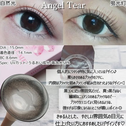 HIMEME 1day Little Bear(リトルベア)/HIMEME/ワンデー(1DAY)カラコンの画像