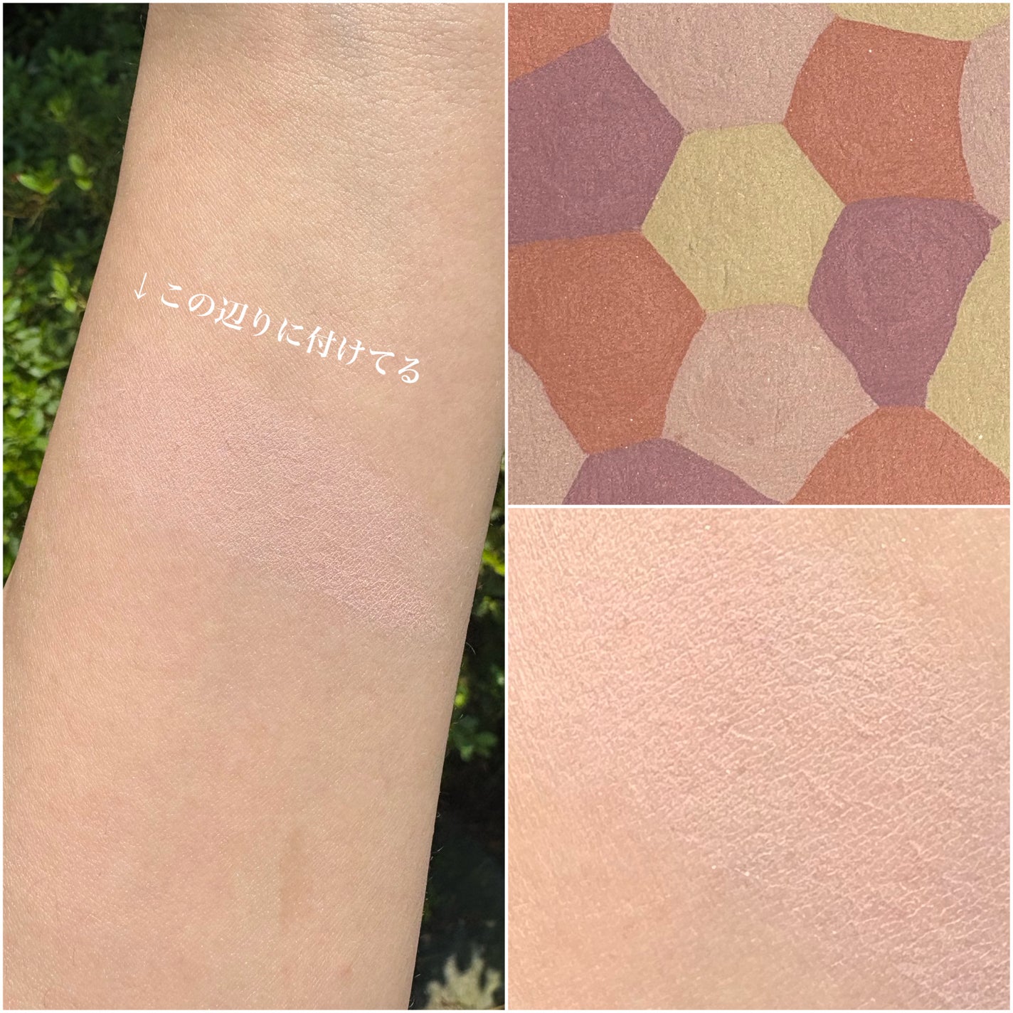 フェイスパウダー III/コラリッチ/プレストパウダーを使ったクチコミ(2枚目)