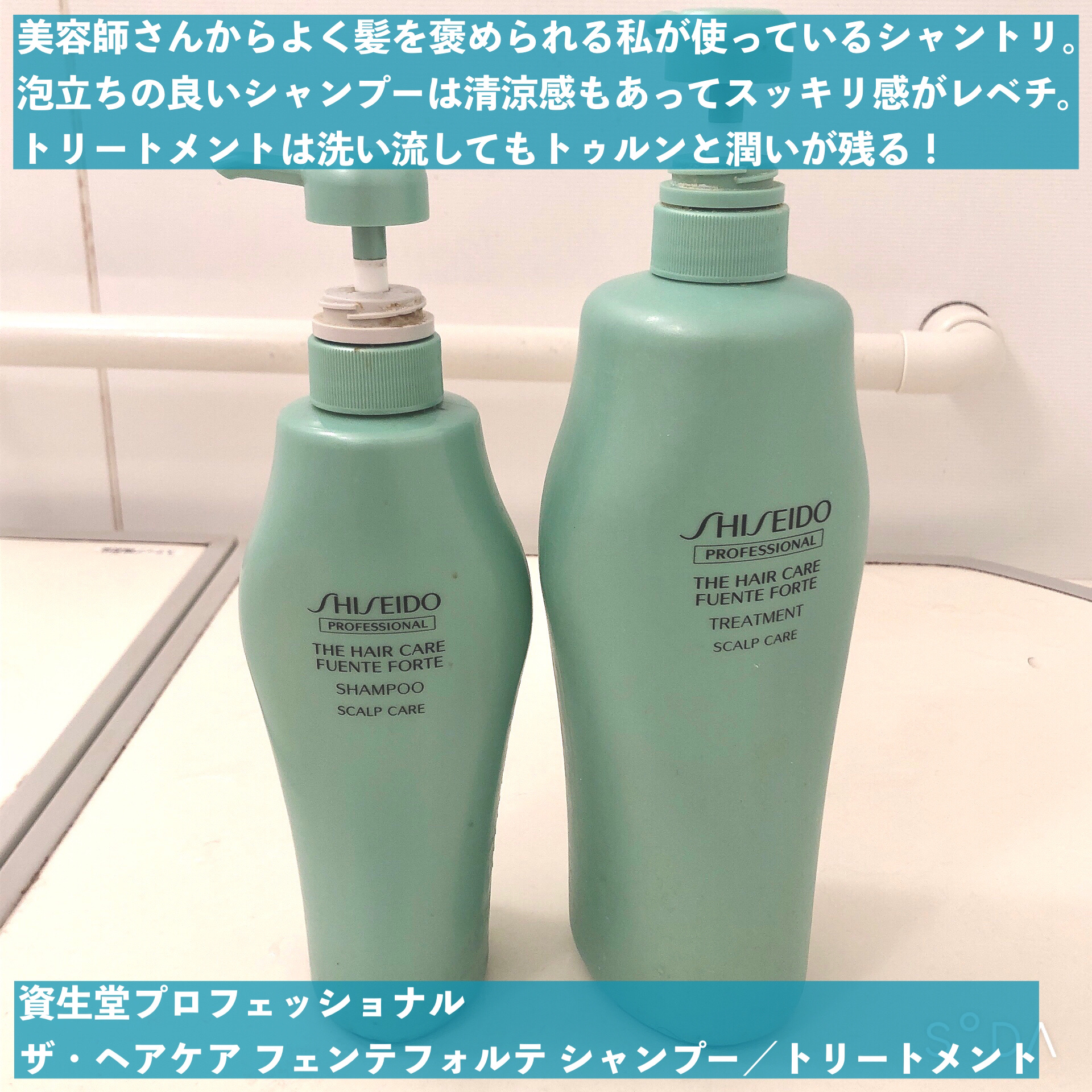 サブリミック フェンテフォルテ シャンプー トリートメント セット : THC FUENTE FORTE (フェンテフォルテ) シャンプー ホリ