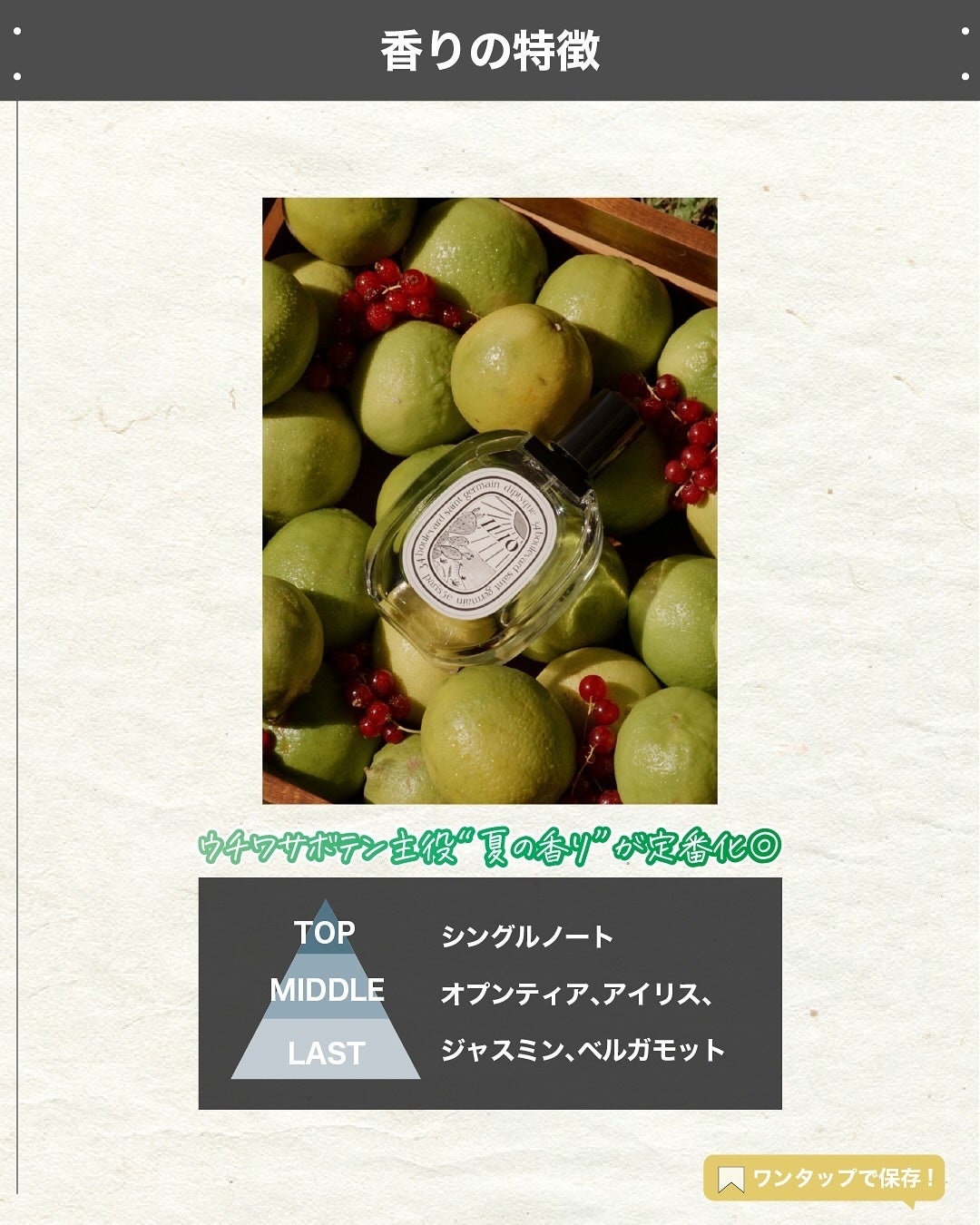 エスログ┊1日1分のモテ香水紹介 on LIPS 「.『サボテン人気香水』🌳製品情報🌳Diptyqueオードトワレ..」(3枚目)