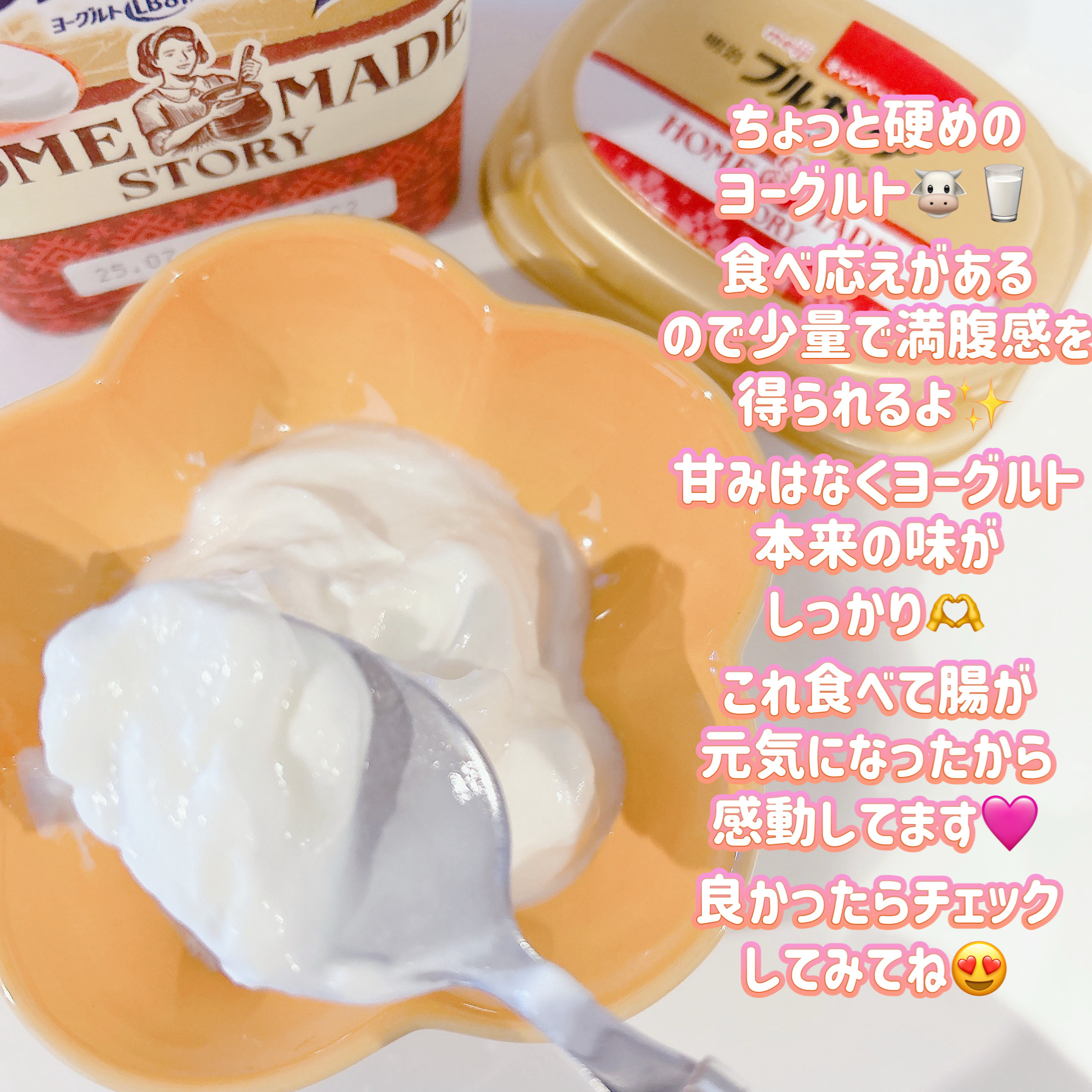 ブルガリアヨーグルト LB81 プレーン HOME MADE STORY/明治/ヨーグルトを使ったクチコミ（3枚目）