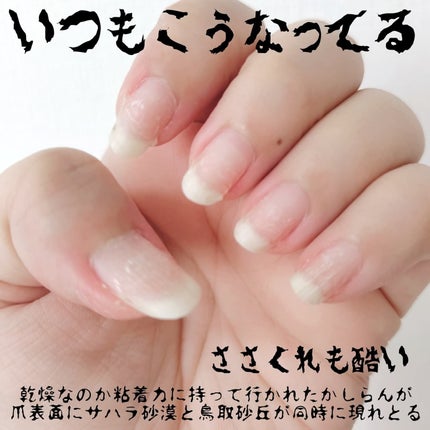 シルクリペアネイルクリーム/COSNORI/ネイルオイル・トリートメントを使ったクチコミ(5枚目)