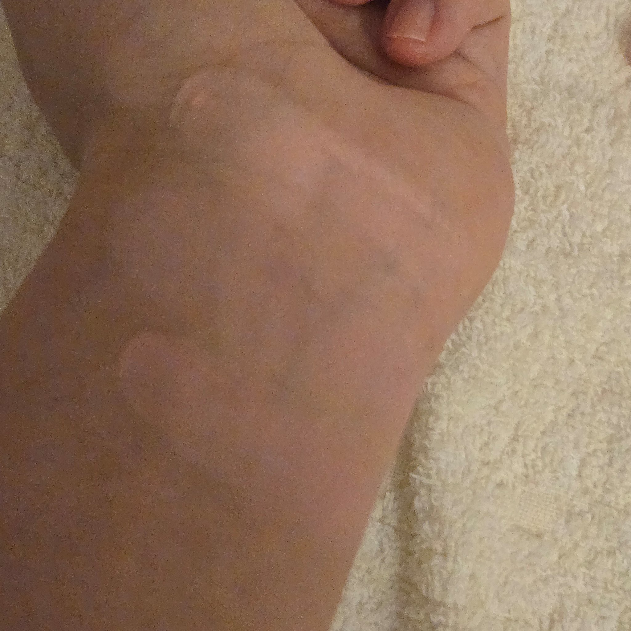 ブレンディングムードチーク 05 バイオレットニット/dasique/パウダーチークを使ったクチコミ（2枚目）