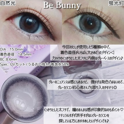 HIMEME 1day Little Bear(リトルベア)/HIMEME/ワンデー(1DAY)カラコンの画像