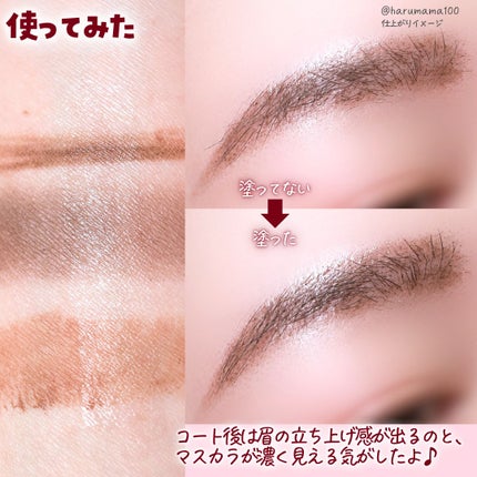 ラスティングマルチブロウコート/キャンメイク/アイブロウコートを使ったクチコミ(7枚目)