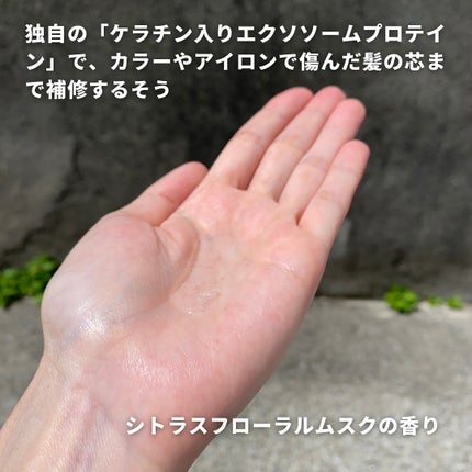 スーパーリペアシャンプー/moremo/ノンシリコンシャンプーを使ったクチコミ(5枚目)