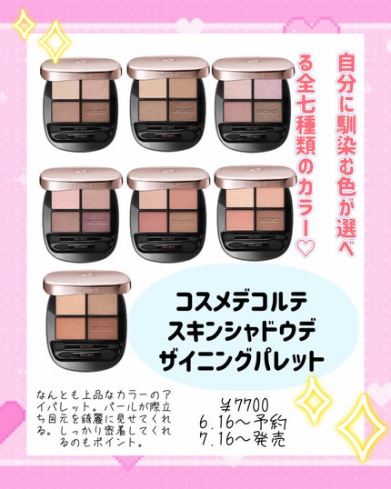 スキンシャドウ デザイニング パレット/DECORTÉ/アイシャドウパレットを使ったクチコミ(2枚目)