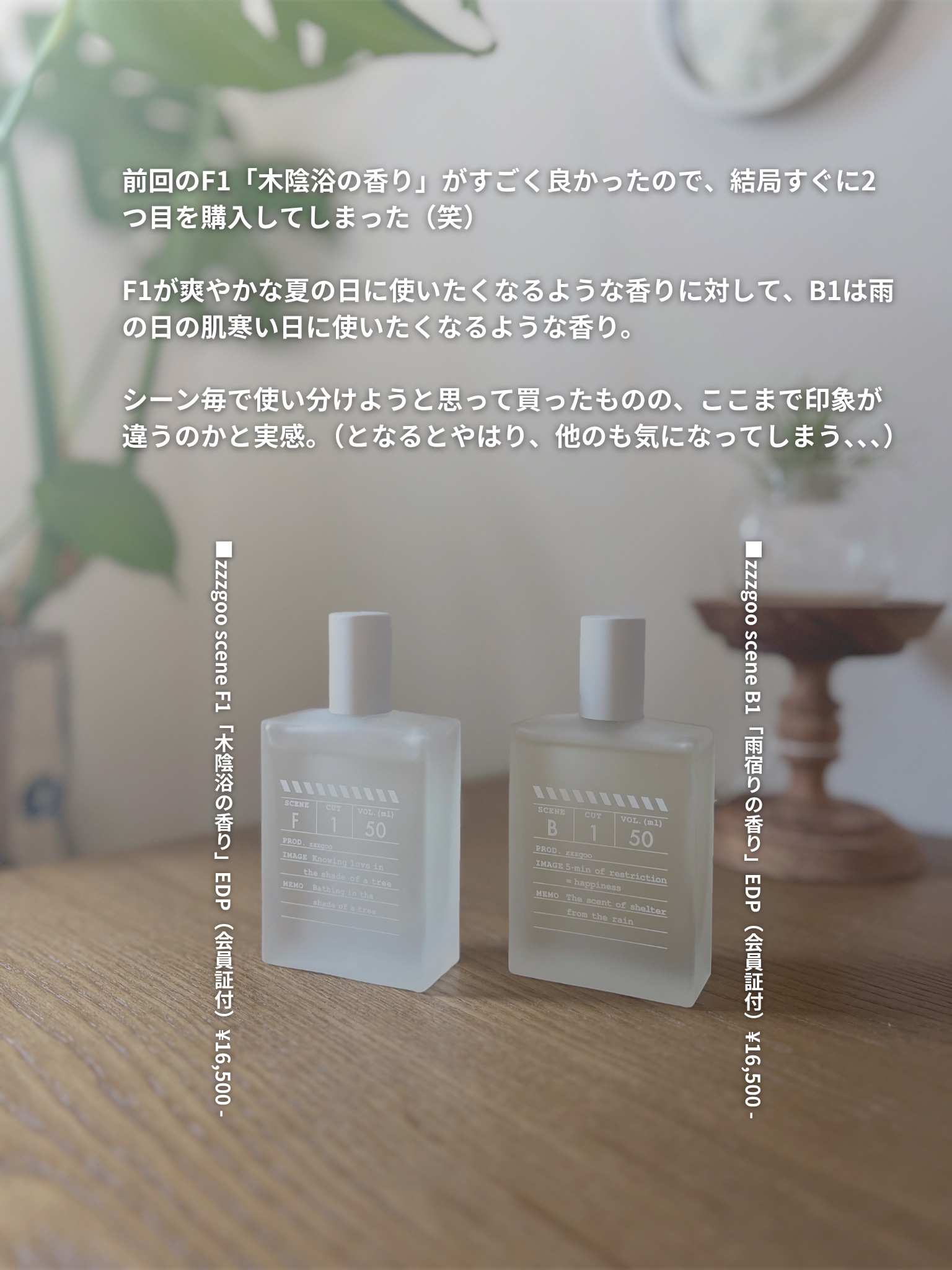 試してみた】scene B1 zzzgooのリアルな口コミ・レビュー | LIPS