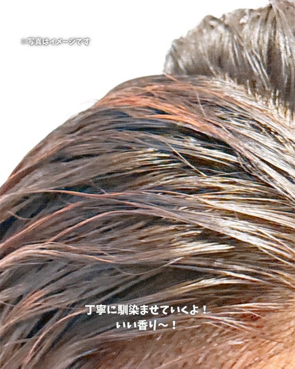 デビルズトリック/クイスクイス/ヘアカラーを使ったクチコミ(5枚目)