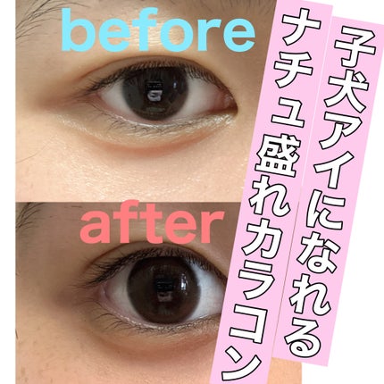 feliamo 1month ウーロンティー/feliamo/1ヶ月(1MONTH)カラコンの画像