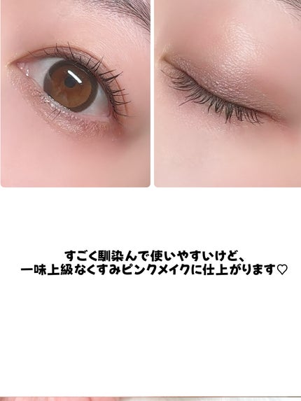 ルナソル アイカラーレーションN/LUNASOL/アイシャドウパレットを使ったクチコミ(5枚目)