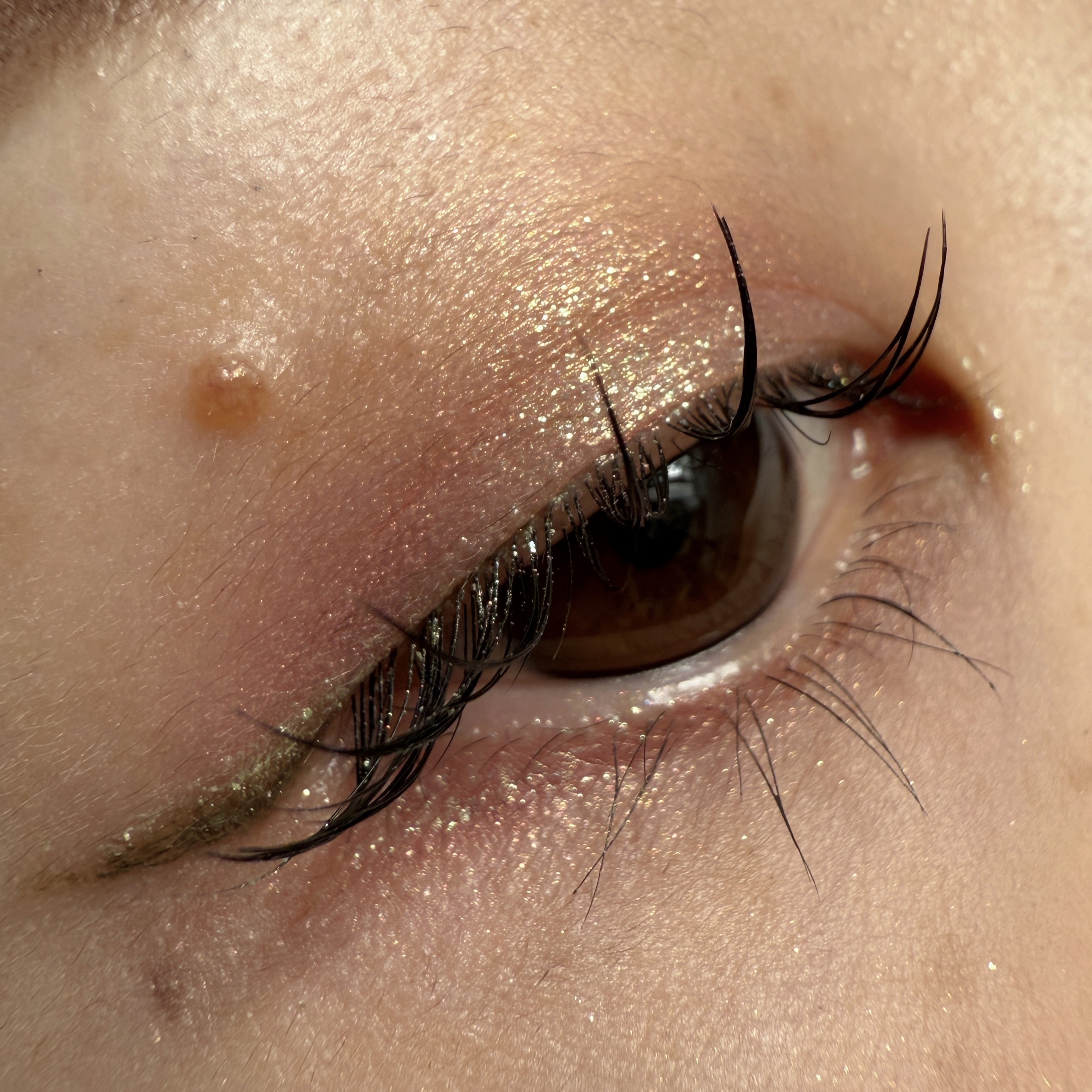 リュクスアイシャドウ/BOBBI BROWN/単色アイシャドウを使ったクチコミ（2枚目）