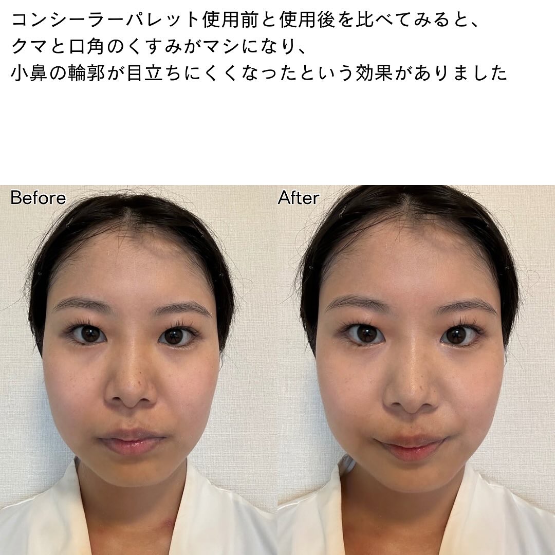 コンシールブレンダーパレット/LUNA/パレットコンシーラーを使ったクチコミ（3枚目）