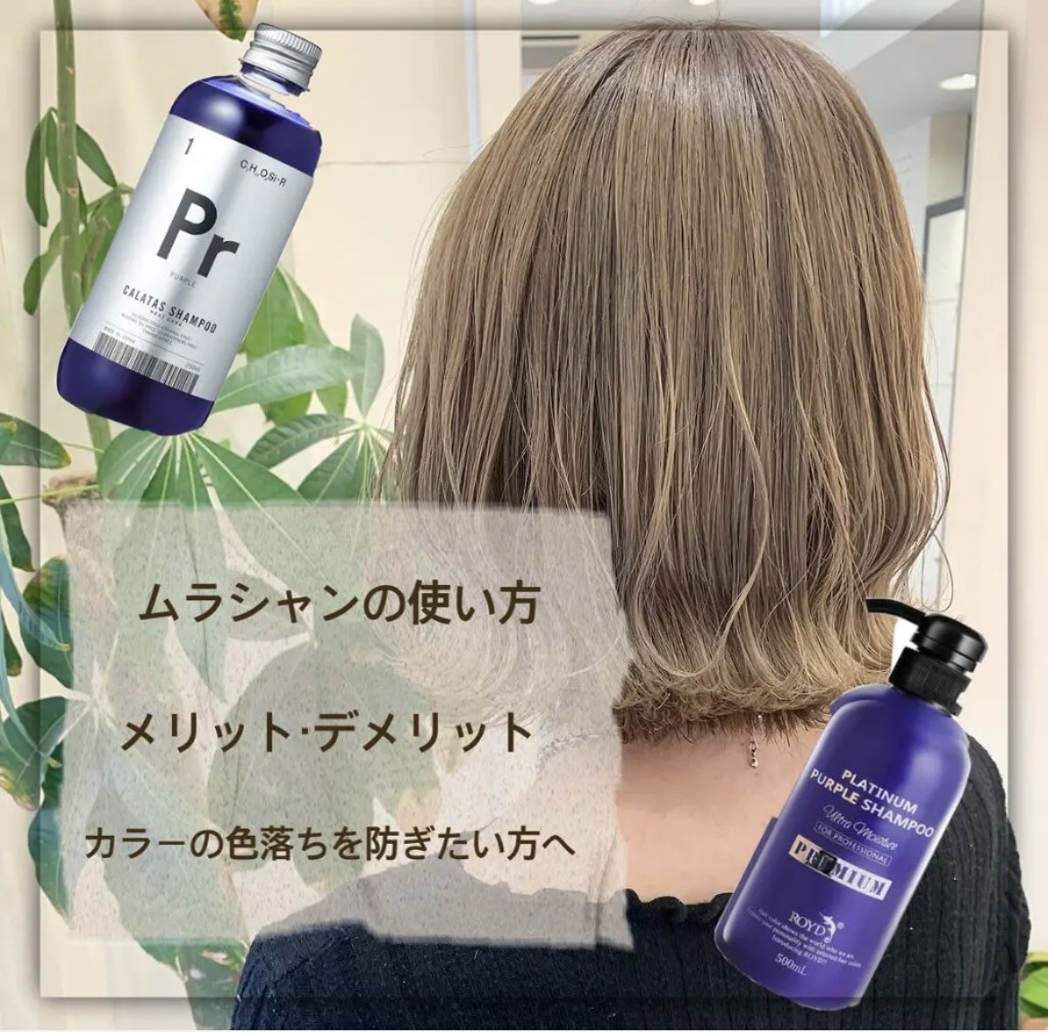 シャンプー／トリートメント ヒートケア  パープル/CALATAS/市販シャンプーを使ったクチコミ（1枚目）