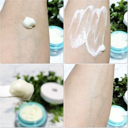 プロセスインワンメルティクリーム/FilFARO/フェイスクリームを使ったクチコミ(8枚目)