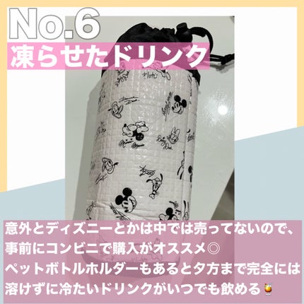 える@フォロバ on LIPS 「最高気温30度超のディズニーを乗り切ったオススメグッズです🏰🐭..」(7枚目)