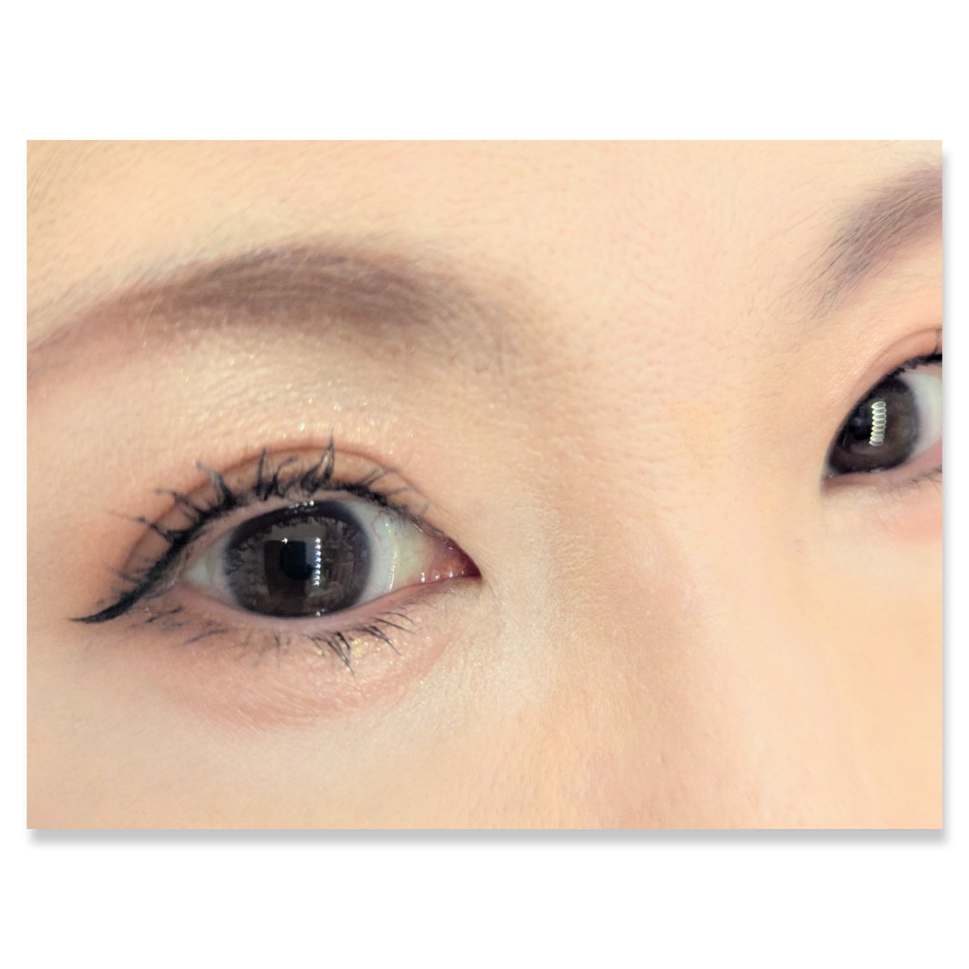 パノラマデザイン アイパレット/Visée/アイシャドウパレットを使ったクチコミ（2枚目）