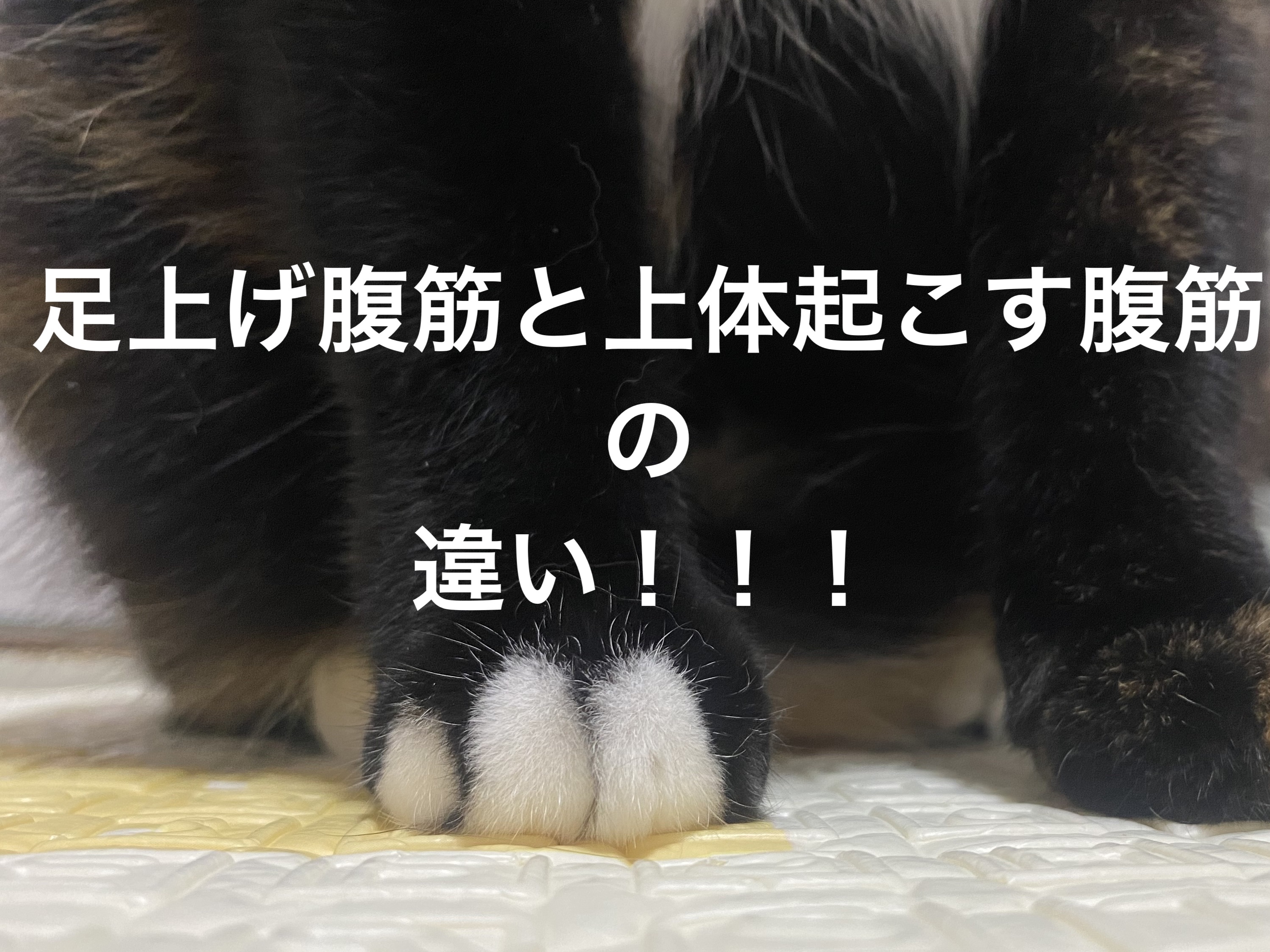 TOP- TOUCH  EMS腹筋ベルト/Top Touch/ボディケア美容家電を使ったクチコミ（1枚目）