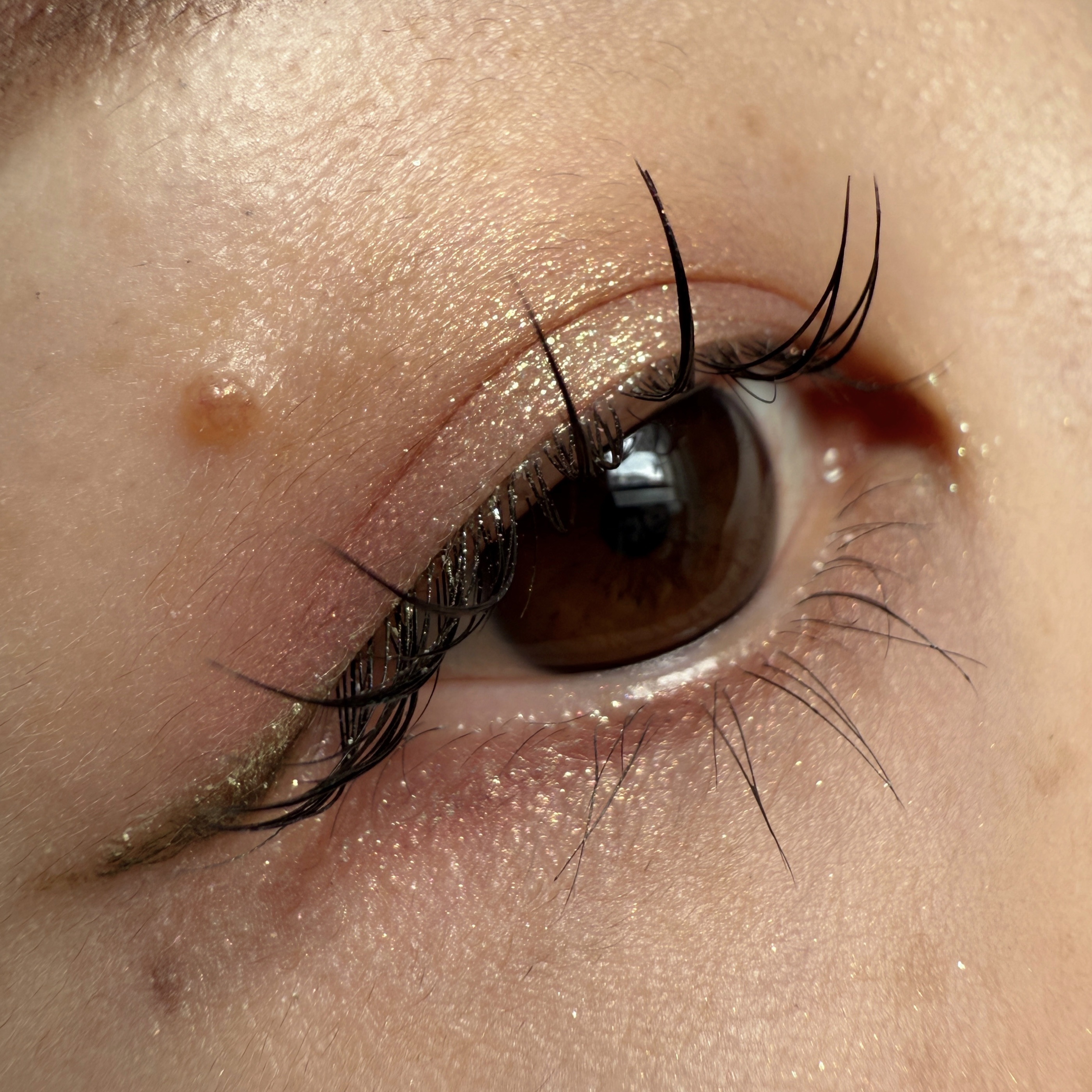 リュクスアイシャドウ/BOBBI BROWN/単色アイシャドウを使ったクチコミ（1枚目）