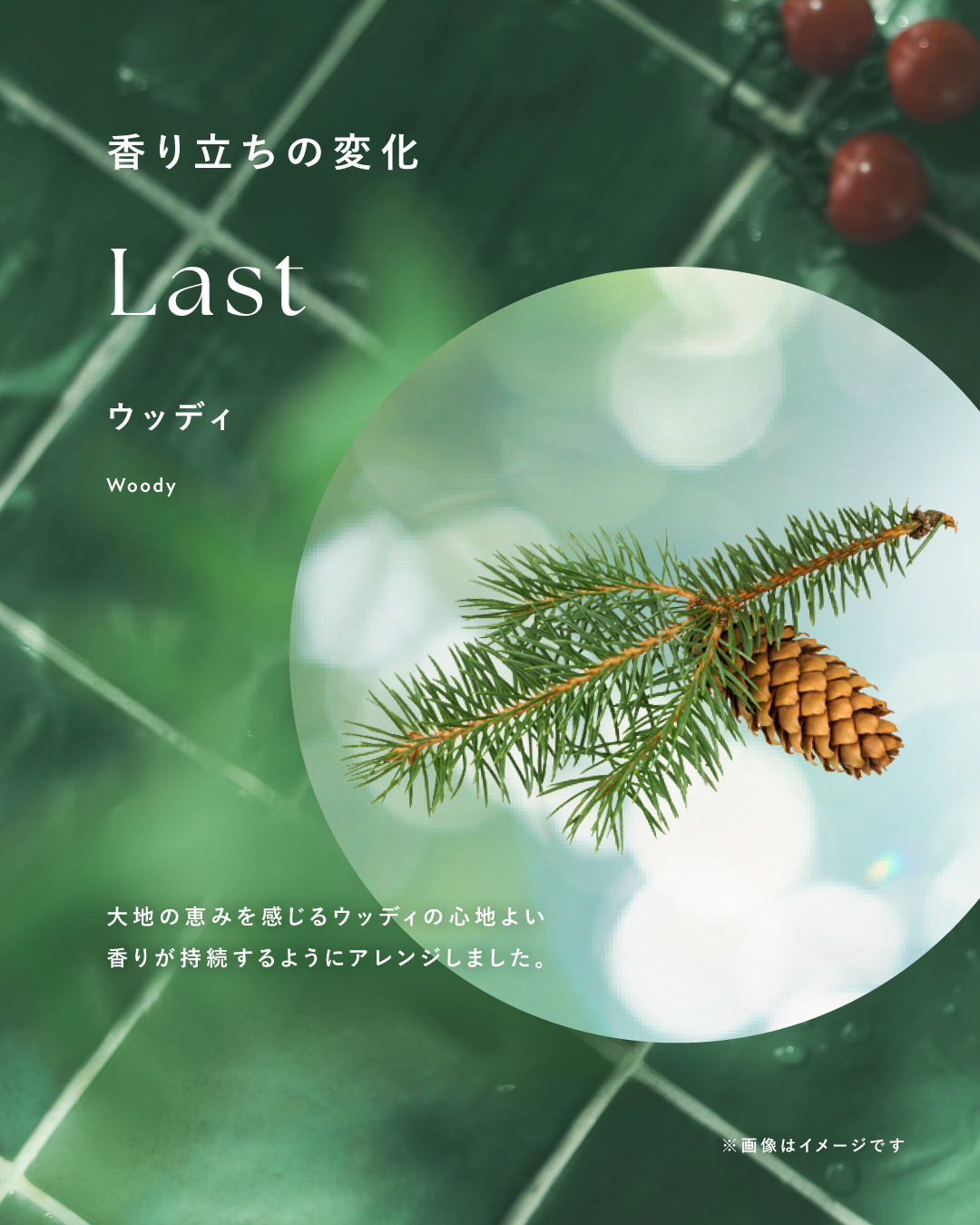 BOTANIST(ボタニスト)公式アカウント on LIPS 「BOTANISTFragranceCollection晴れた日..」(4枚目)