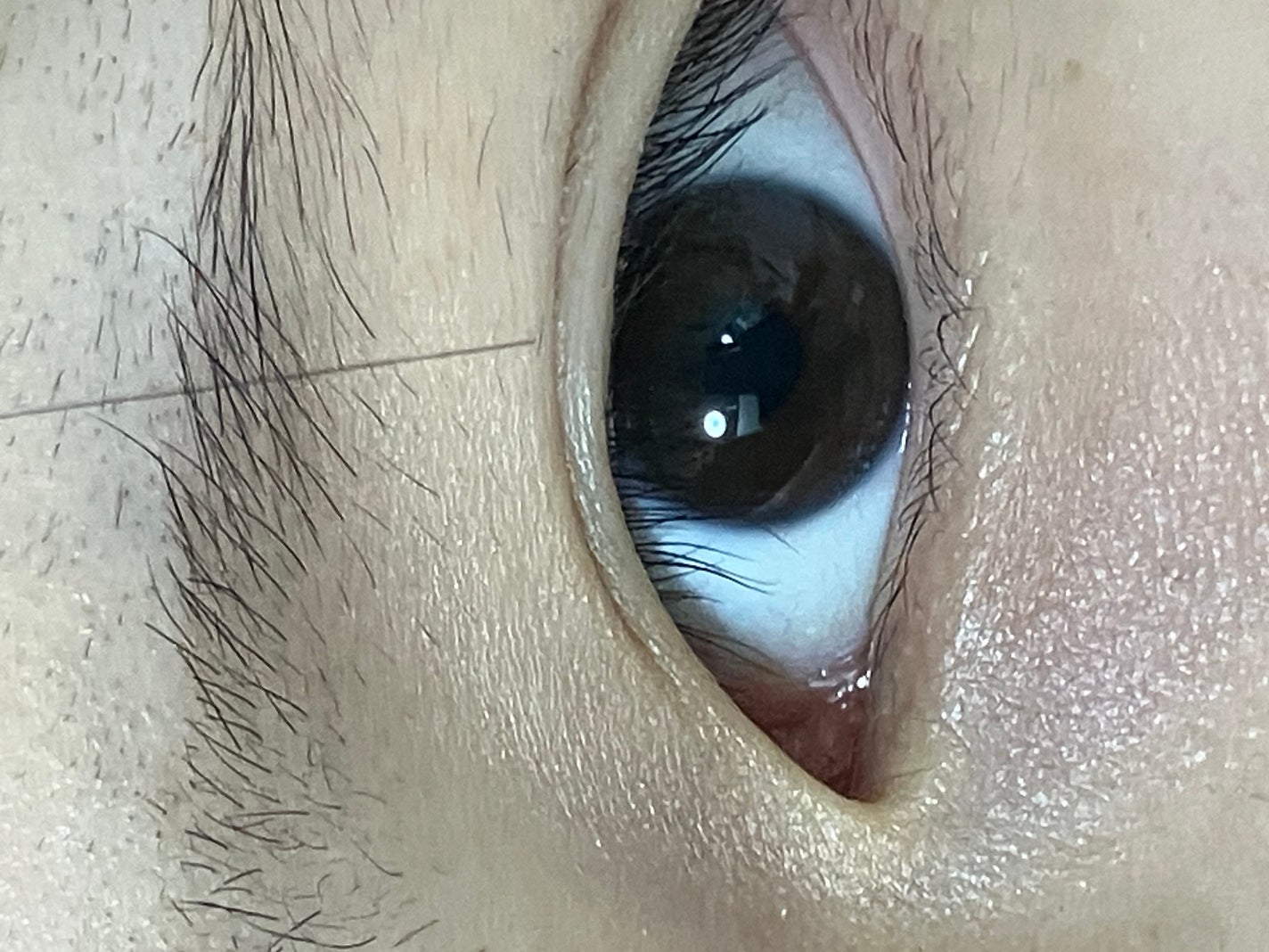 大人のルドゥーブル/ルドゥーブル/二重まぶた用アイテムを使ったクチコミ(1枚目)