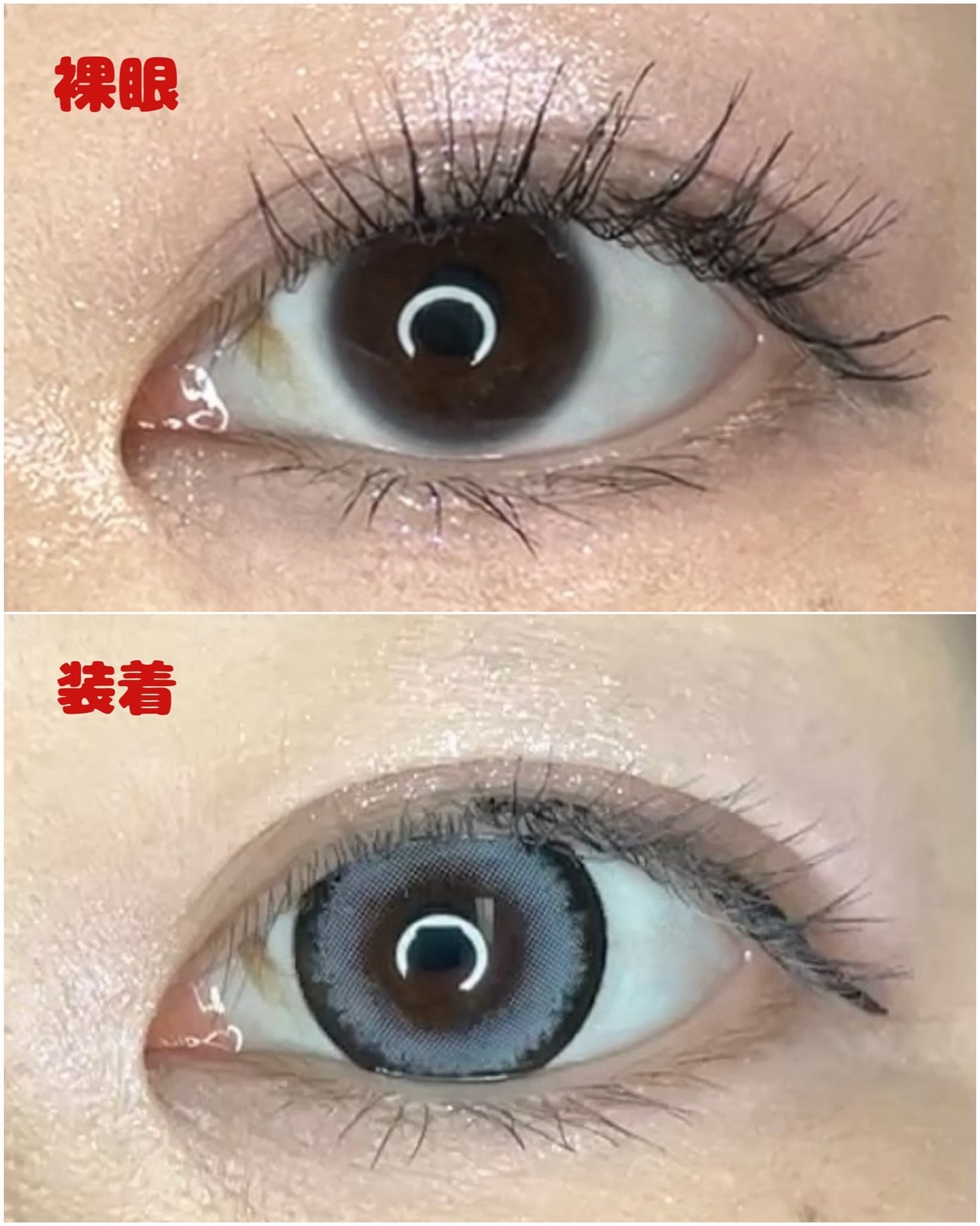 RESAY 1day/RESAY/ワンデー(1DAY)カラコンを使ったクチコミ(4枚目)