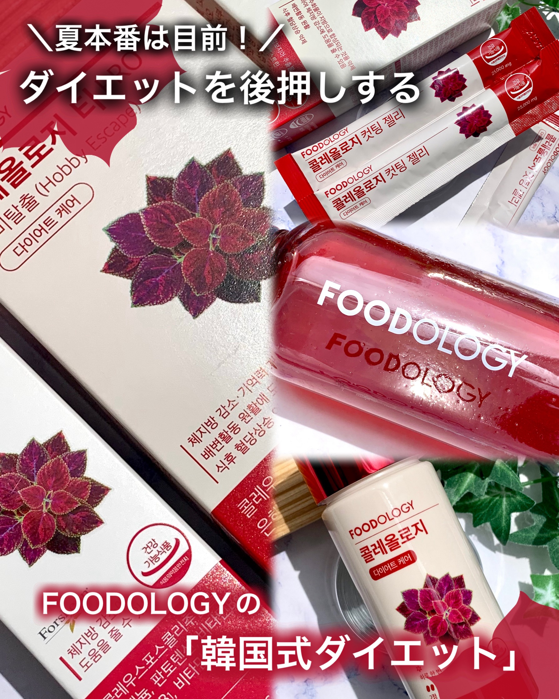 コレオロジーティー/FOODOLOGY/ドリンクを使ったクチコミ（1枚目）