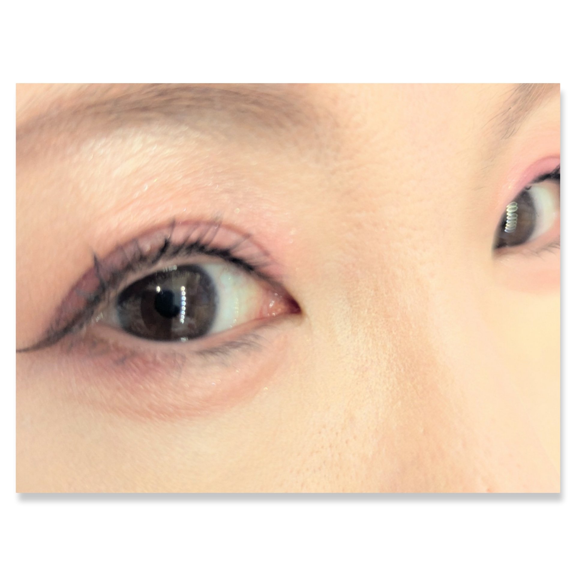 ショコラスウィート アイズ/リンメル ロンドン/アイシャドウパレットを使ったクチコミ（2枚目）