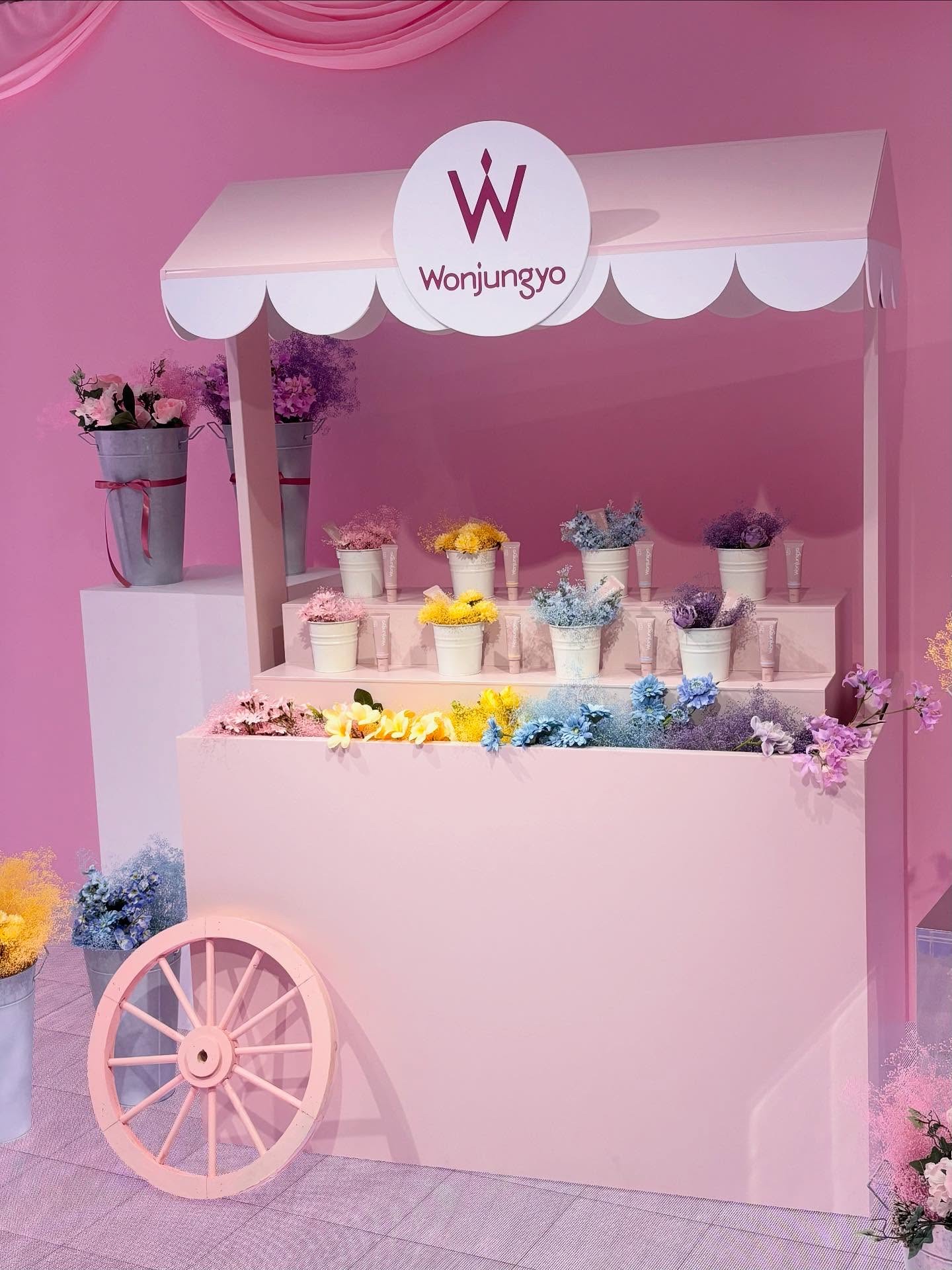 ウォンジョンヨ トーンアップベース/Wonjungyo/化粧下地を使ったクチコミ（3枚目）