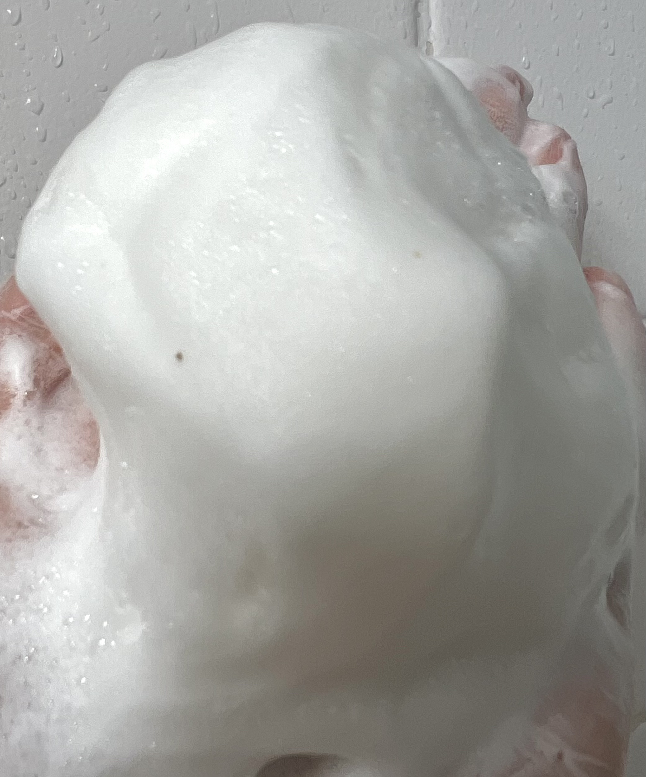 バイタライジング　ローズマリーポアクレンジングフォーム/AROMATICA/洗顔フォームを使ったクチコミ（3枚目）