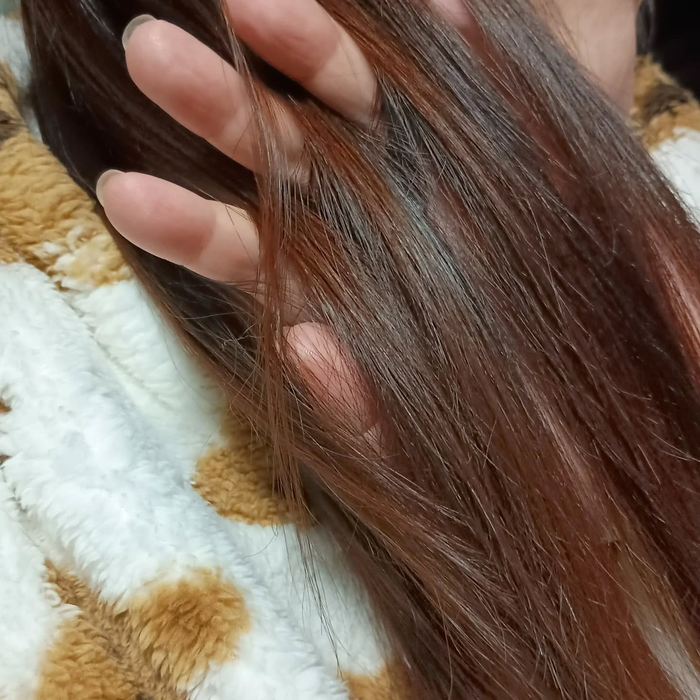 Seika 全 シャンプー/王子製薬/市販シャンプーを使ったクチコミ（3枚目）