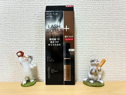 ケイト ラッシュバースト/KATE/マスカラを使ったクチコミ(1枚目)