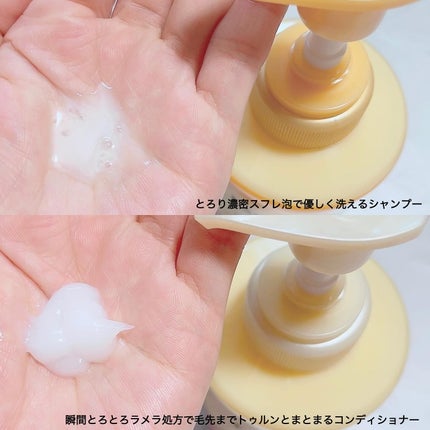 エッセンシャルプレミアム バリアシャンプー・コンディショナー スパークルモイスト/エッセンシャル/市販シャンプーを使ったクチコミ(2枚目)