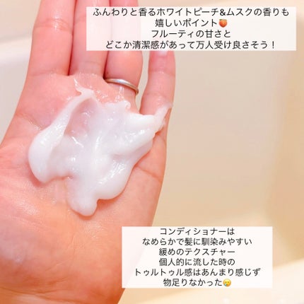 ãšãã»ã³ã·ã£ã«ãã¬ãã¢ã ããªã¢ã·ã£ã³ããŒã»ã³ã³ãã£ã·ã§ã㌠ã¹ããŒã¯ã«ã¢ã€ã¹ã/ãšãã»ã³ã·ã£ã«/åžè²©ã·ã£ã³ããŒã䜿ã£ãã¯ãã³ãïŒ4æç®ïŒ