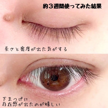 アイラッシュエッセンシャルセラム/epais/まつげ美容液を使ったクチコミ(3枚目)