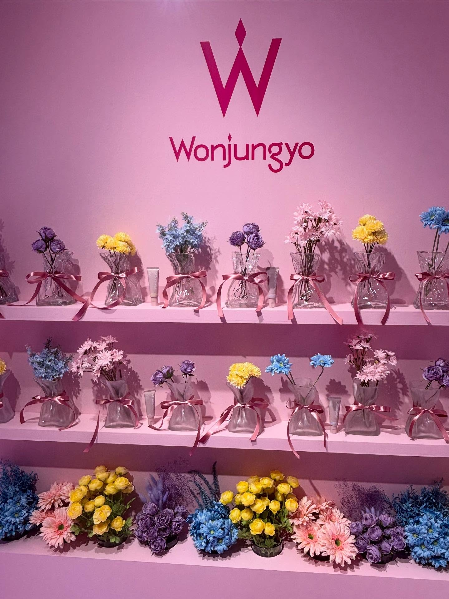 ウォンジョンヨ トーンアップベース/Wonjungyo/化粧下地を使ったクチコミ（2枚目）