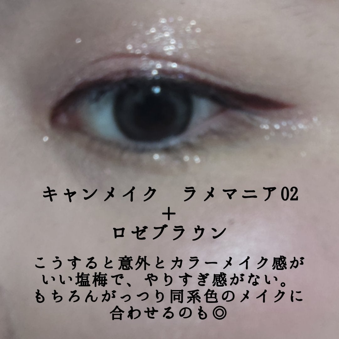 リキッドアイライナーR4/ラブ・ライナー/リキッドアイライナーを使ったクチコミ(10枚目)